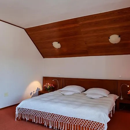 Complex Turistic Bucovina 4*